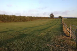 Rydon Farm Caravan and Camping Site