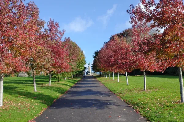Northernhay Gardens