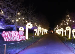 Exeter Winter Wonderland