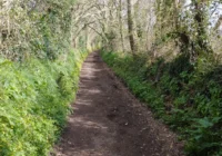 A short 1.5-mile circular walk along Hambeer Lane near Exeter, with views towards Ide and the city.