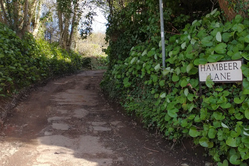 Hambeer Lane sign at the start of the circular walk near Exeter