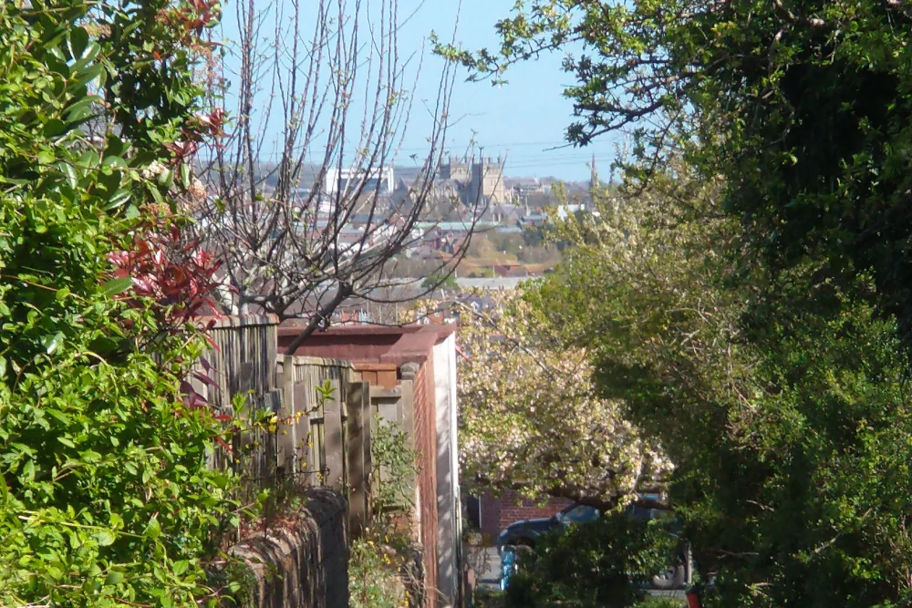 View of Exeter Cathedral in the distance coming down Roly Poly Hill on the Exeter - Ide circular walk