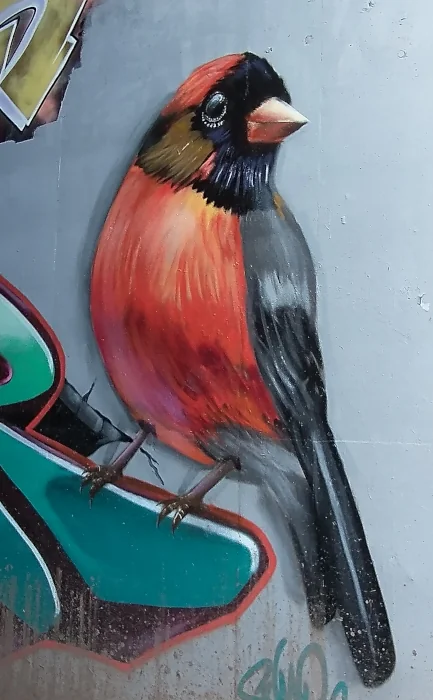 Bird mural artwork on underpass along walking route near Exeter