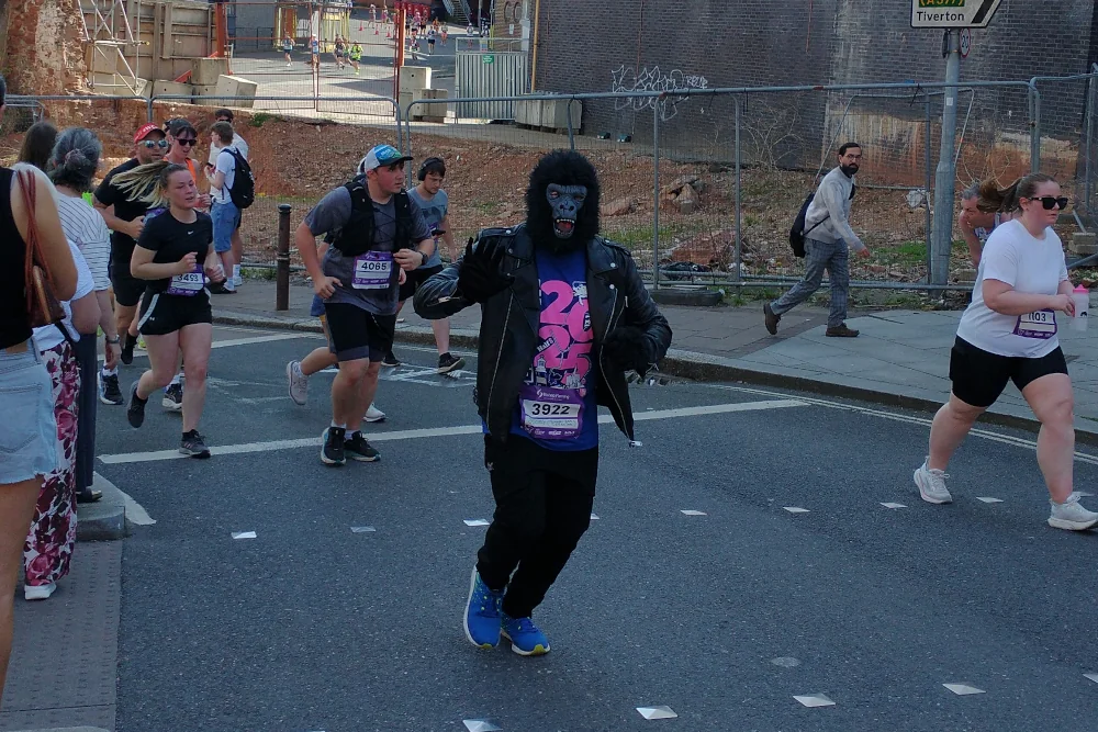 Runner dressed as a gorilla taking part in Exeter Great West Run 2026