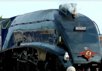 Sir Nigel Gresley Steam Train Devon