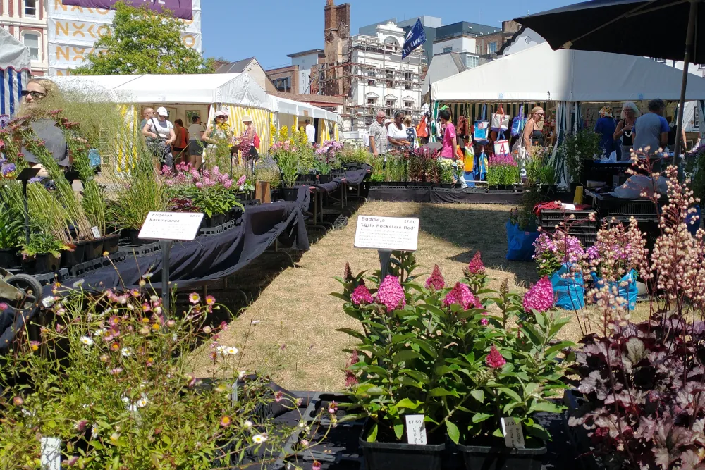 Flower stall on the Cathedral green at the Exeter Craft Festival