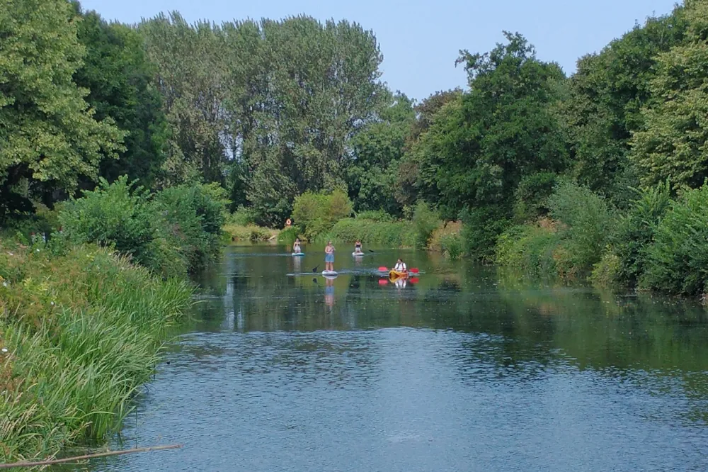 Paddleboarders and kayakers on the Exeter Ship Canal