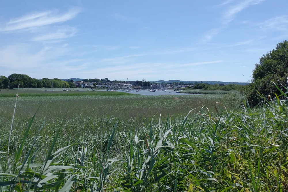 Views across the River Exe towards Topsham