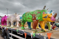 Rhinos Road Trip