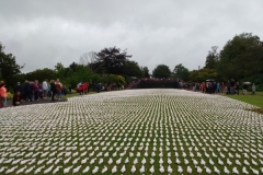 Shrouds of the Somme