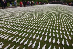 Shrouds of the Somme