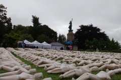 Shrouds of the Somme