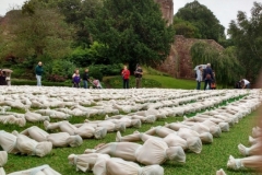 Shrouds of the Somme