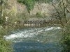 River Exe