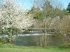 River Exe