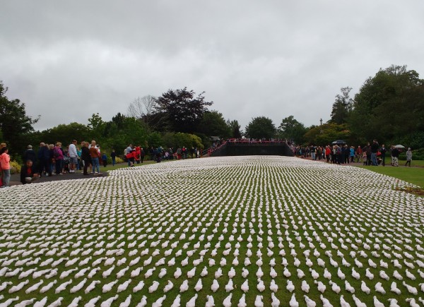 Shrouds of the Somme