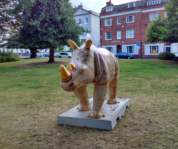 Rhinos in Exeter