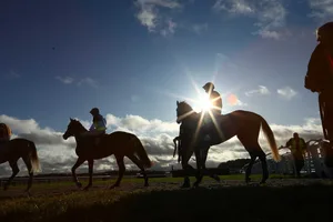 Christmas Cup Raceday at Exeter Racecourse