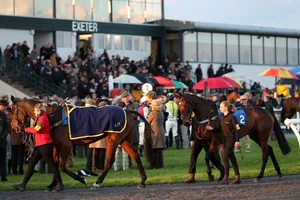 Festive Fizz Raceday at Exeter Racecourse