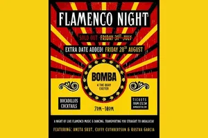 Flamenco Night